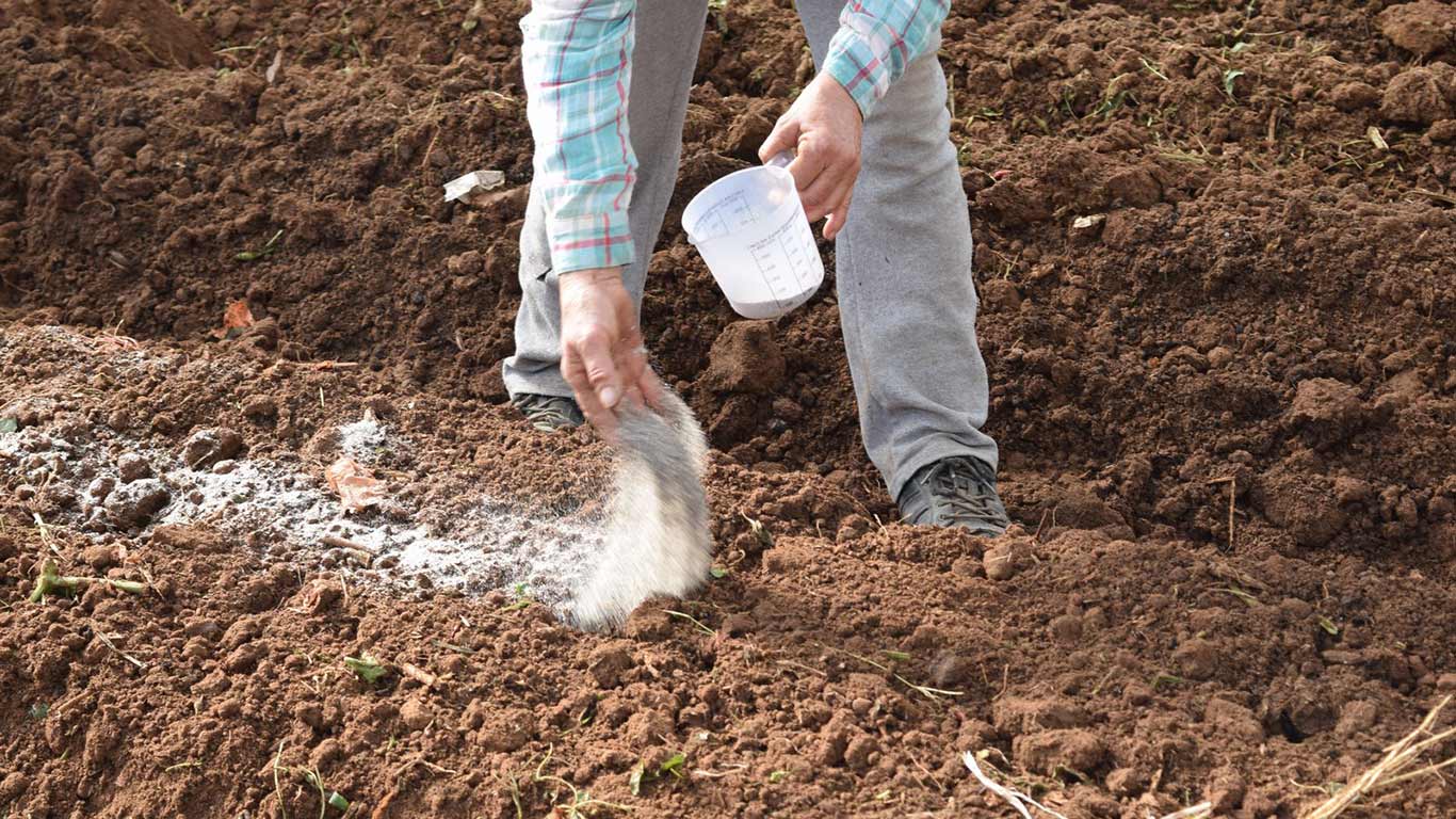 Producto Aquaroot